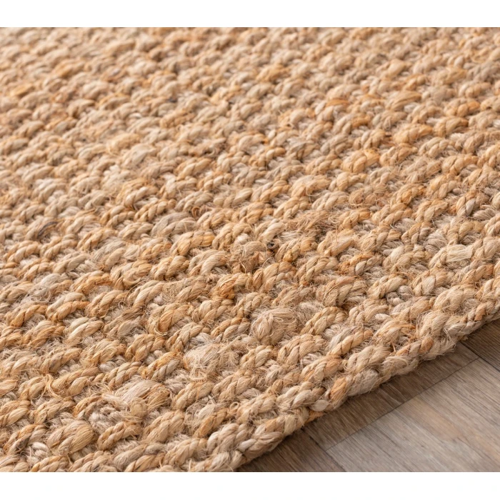 Livabliss Jute Woven JS-2-9x13 rug