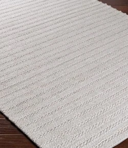 Surya Kindred KDD3001 Light Gray Area Rug 4 ft. X 6 ft. Rectangle