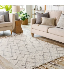 Surya Khemisset KMS2300 Gray Cream Area Rug 8 ft. X 10 ft. Rectangle