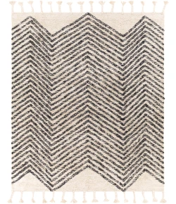 Surya Khemisset KMS2302 Charcoal Cream Area Rug 2 ft. 6 in. X 4 ft. Rectangle