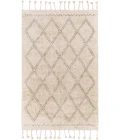 Surya Khemisset KMS-2304 2'6" x 4' Rug