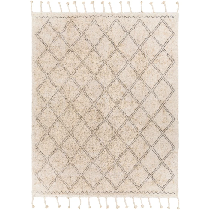 Surya Khemisset KMS-2304 2'6" x 4' Rug