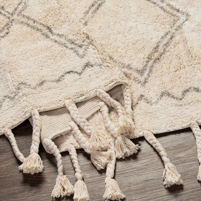 Surya Khemisset KMS-2304 2'6" x 4' Rug
