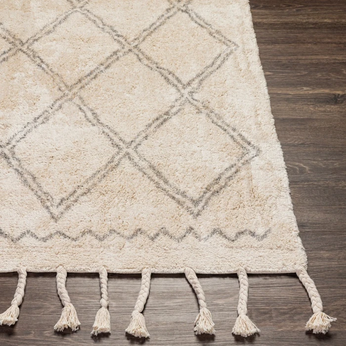 Surya Khemisset KMS-2304 2'6" x 4' Rug