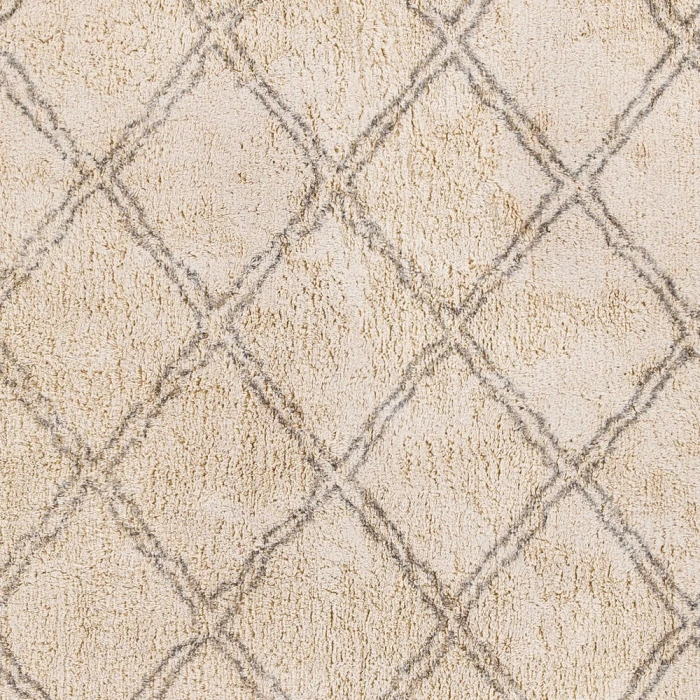 Surya Khemisset KMS-2304 2'6" x 4' Rug