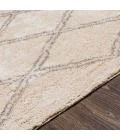 Surya Khemisset KMS-2304 2'6" x 4' Rug