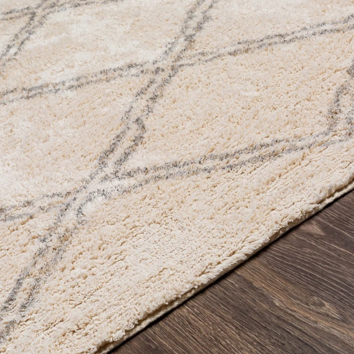 Surya Khemisset KMS-2304 2'6" x 4' Rug
