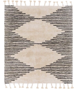Surya Khemisset KMS2310 Black Cream Area Rug 2 ft. 6 in. X 4 ft. Rectangle
