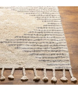 Surya Khemisset Gray KMS-2311 2 ft. 6 in. X 4 ft. Rect. Rug