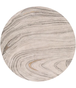 Surya Kavita KVT2304 Medium Gray Light Gray Area Rug 10 ft. Round Round