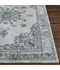 Surya Laila LAA-2302 2 7 x 4  Rug