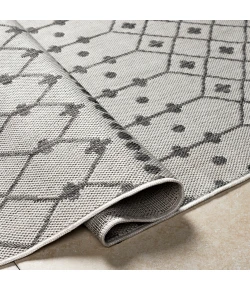 Livabliss Long Beach LBH2329 Light Grey Taupe Area Rug 2 ft. 7 in. X 7 ft. 3 in. Runner