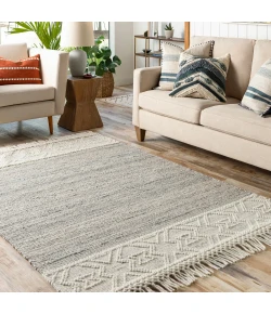 Livabliss Lucia LCI2302 Charcoal Gray Area Rug 2 ft. 3 in. X 3 ft. 9 in. Rectangle
