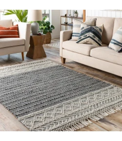 Livabliss Lucia LCI2304 Charcoal Gray Area Rug 2 ft. 3 in. X 3 ft. 9 in. Rectangle