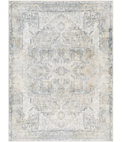 Livabliss Lillian LLL2301 Light Grey Taupe Area Rug 2 ft. 3 in. X 3 ft. 9 in. Rectangle