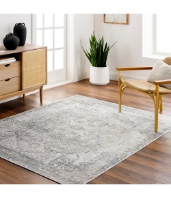 Livabliss Lillian LLL2301 Light Grey Taupe Area Rug 2 ft. 3 in. X 3 ft. 9 in. Rectangle