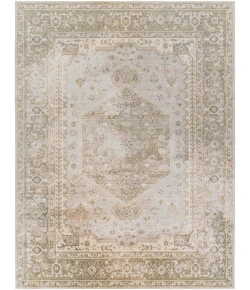 Livabliss Lillian LLL2308 Taupe Light Grey Area Rug 7 ft. 10 in. X 10 ft. 2 in. Rectangle