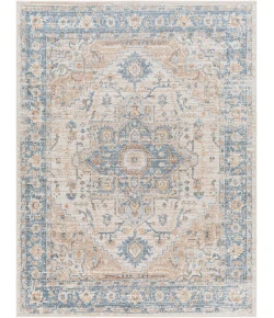 Livabliss Lillian LLL2328 Taupe Light Grey Area Rug 6 ft. 7 in. X 9 ft. Rectangle