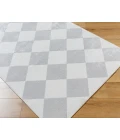 Lillian LLL-2376 27" x 73" Machine Woven Rug