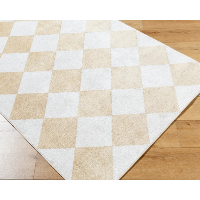 Lillian LLL-2377 67" x 67" Machine Woven Rug