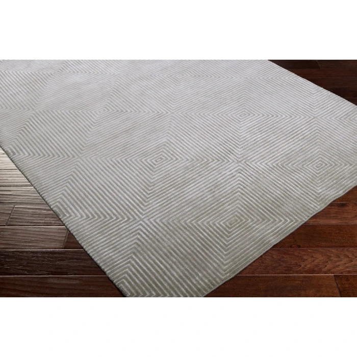 Surya Luminous LMN-3005-4x6 rug
