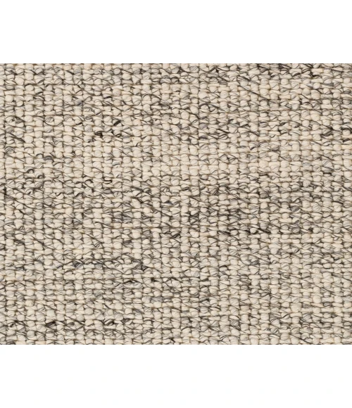 Livabliss Lucerne LNE-1001 6 x 9 Rug
