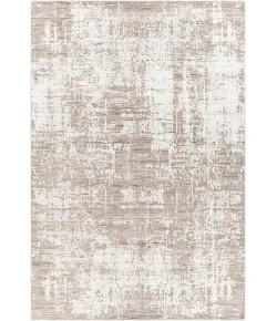 Surya Lucknow LUC2302 Light Gray Ivory Area Rug 2 ft. X 3 ft. Rectangle
