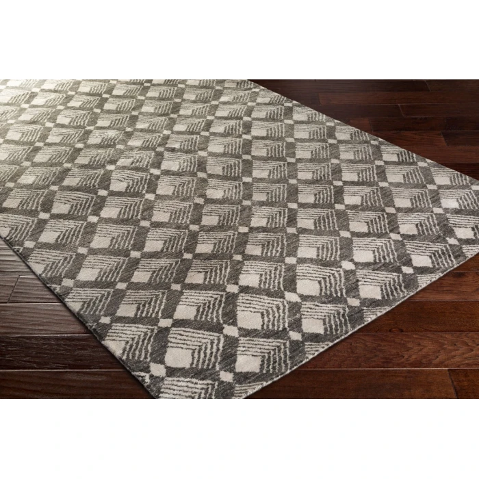 Surya Ludlow LUD-2003-4x6 rug