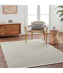 Surya Lumi LUM2301 Cream Light Gray Area Rug 2 ft. X 3 ft. Rectangle