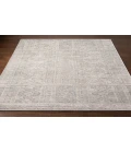 Surya Livorno Rug LVN2302