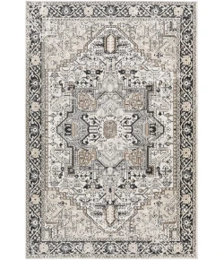 Livabliss Lavadora LVR2322 Black Taupe Area Rug 9 ft. 3 in. X 12 ft. Rectangle