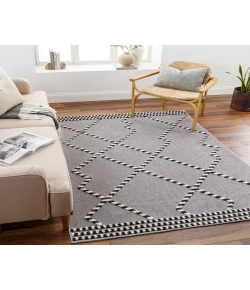 Livabliss Lyna LYA2320 Sage Grey Area Rug 3 ft. 3 in. X 5 ft. Rectangle