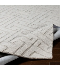 Surya Mystique Light Gray M-5455 2ft. x 3ft. Rect. Rug