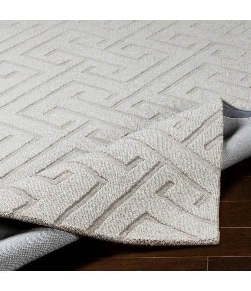 Surya Mystique Light Gray M-5455 2ft. x 3ft. Rect. Rug