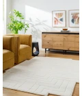 Mystique M-5498 8 x 10 Handmade Rug