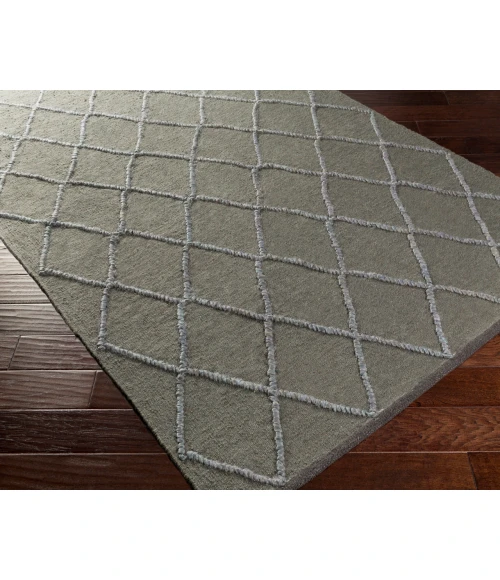 Surya Mateo MAE-1000-2x3 rug