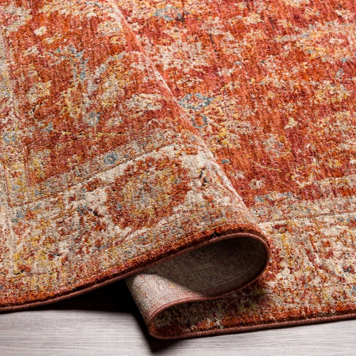 Livabliss Mirabel MBE-2307 10 x 14 Rug