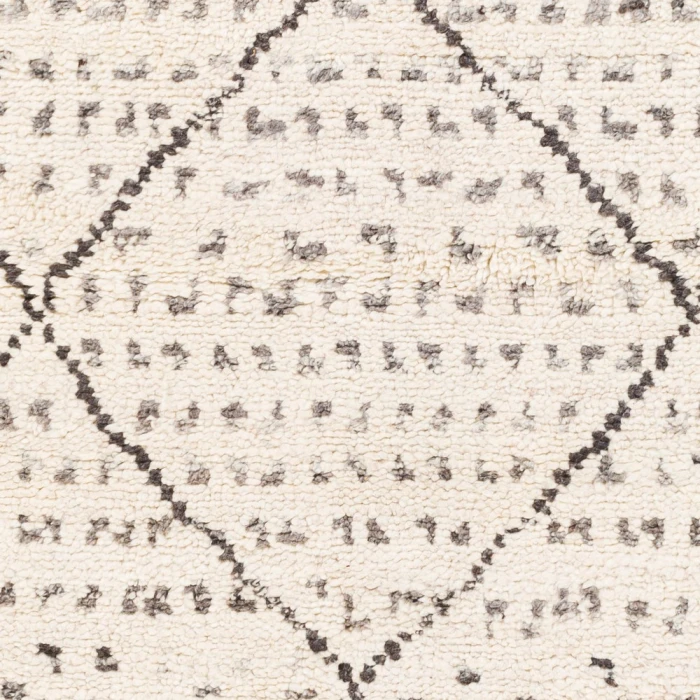 Surya Meknes MEK-1004 8  x 10  Rug