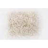 Surya Milan MIL5003 Ivory Cream Area Rug 5 ft. X 8 ft. Rectangle
