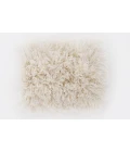 Surya Milan MIL-5003-5x8 rug
