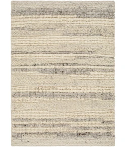 Surya Manisa MNS2300 Gray Brown Area Rug 2 ft. X 3 ft. Rectangle