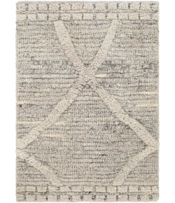 Surya Manisa MNS2302 Charcoal Gray Area Rug 2 ft. X 3 ft. Rectangle