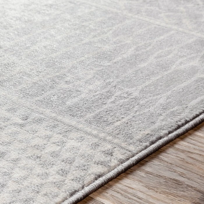 Livabliss Monaco MOC-2304 Area Rug