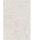 Surya Medora MOD-1005-2x3 rug