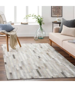Surya Medora MOD1016 Camel Light Gray Area Rug 2 ft. X 3 ft. Rectangle