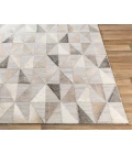 Surya Medora MOD-1022 2  x 3  Rug