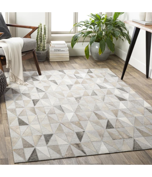 Surya Medora MOD-1022 2  x 3  Rug