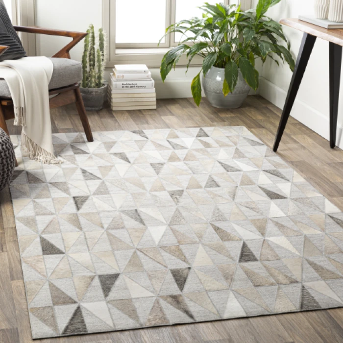 Surya Medora MOD-1022 2  x 3  Rug