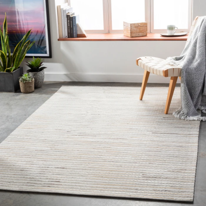 Surya Medora MOD-1024 2  x 3  Rug