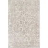Livabliss Masterpiece MPC2301 Light Grey Taupe Area Rug 2 ft. 8 in. X 3 ft. 11 in. Rectangle